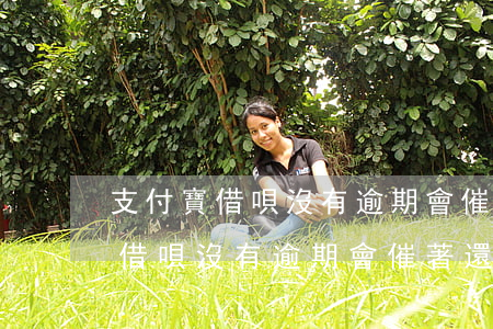 支付寶借唄沒有逾期會催著還錢嗎-支付寶借唄沒有逾期會催著還錢嗎怎么辦