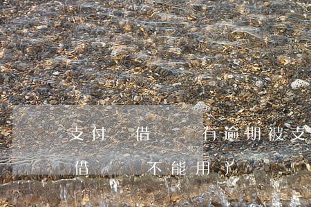支付寶借唄沒有逾期被(支付寶從來沒逾期過,借唄卻不能用了)