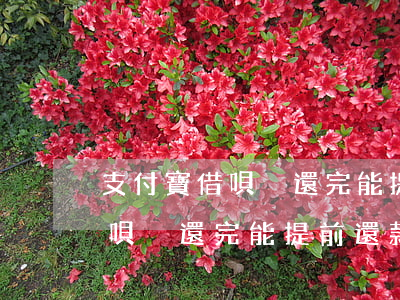 支付寶借唄沒還完能提前還款嗎-支付寶借唄沒還完能提前還款嗎怎么還