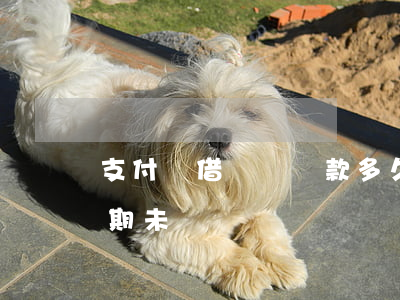 支付寶借唄沒還款多久就算逾期(螞蟻借唄逾期未還)