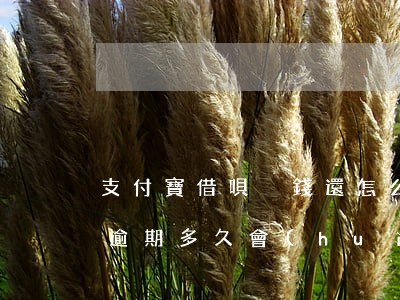 支付寶借唄沒錢還怎么能欠多久(支付寶借唄逾期多久會(huì)借不出來)