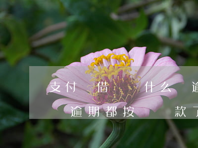 支付寶借唄為什么會逾期(支付寶借唄為什么會逾期都按時還款了)