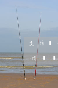 支付寶借唄無(wú)意逾期證明-支付寶借唄無(wú)意逾期證明怎么開(kāi)