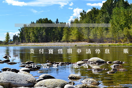 支付寶借唄申請停息掛賬(支付寶花唄借唄可以停息掛賬嗎)
