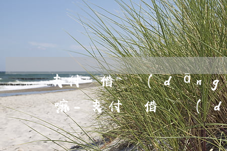 支付寶借唄當(dāng)月還款可以提前嘛-支付寶借唄當(dāng)月還款可以提前嘛