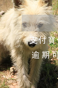 支付寶借唄疫情期間逾期-支付寶借唄疫情逾期可以申訴嗎