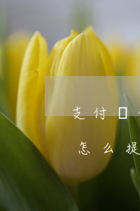 支付寶借唄的分期如何提前還款-借唄分期怎么提前還分期的錢(qián)