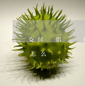 支付寶借唄盜刷逾期-支付寶借唄盜刷逾期怎么辦