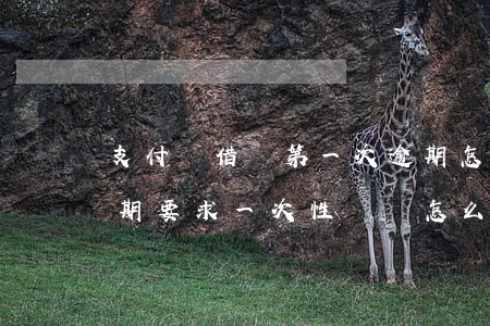 支付寶借唄第一次逾期怎么辦(支付寶借唄逾期要求一次性還錢怎么辦)