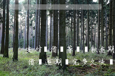 支付寶借唄等額還款逾期還會怎樣-支付寶借唄逾期還完多久恢復(fù)額度