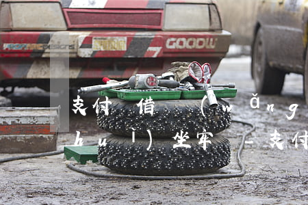 支付寶借唄網(wǎng)商貸欠十萬會(huì)坐牢嗎-支付寶借唄網(wǎng)商貸欠十萬會(huì)坐牢嗎知乎