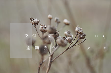 支付寶借唄網(wǎng)商貸欠款15萬逾期(支付寶網(wǎng)商貸欠款逾期3個多月說起訴)