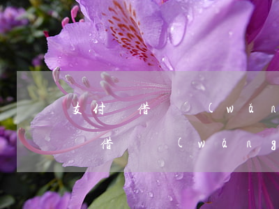 支付寶借唄網(wǎng)商貸逾期-支付寶借唄網(wǎng)商貸逾期會坐牢嗎