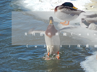 支付寶借唄網(wǎng)商貸逾期1天(網(wǎng)商貸逾期1天 借唄無法使用)