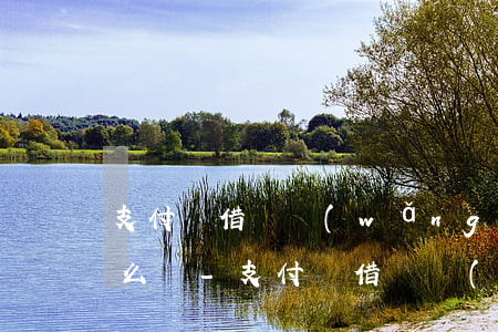 支付寶借唄網(wǎng)商貸逾期了會怎么樣-支付寶借唄網(wǎng)商貸逾期了會怎么樣嗎
