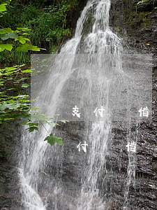 支付寶借唄網(wǎng)貸逾期一天-支付寶借唄網(wǎng)貸逾期一天會怎么樣