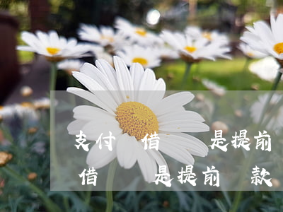 支付寶借唄總是提前還款會關閉嗎-支付寶借唄總是提前還款會關閉嗎安全嗎