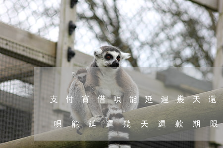支付寶借唄能延遲幾天還款期限-支付寶借唄能延遲幾天還款期限嗎