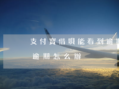 支付寶借唄能看到逾期嗎(怎么看支付寶借唄逾期怎么辦)
