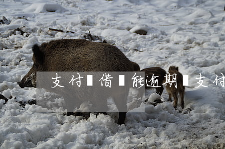 支付寶借唄能逾期嗎（支付寶借唄逾期會這樣）