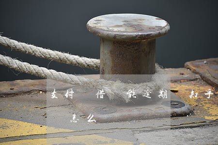 支付寶借唄能逾期嗎知乎(支付寶借唄逾期了會怎么樣嗎)