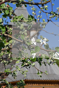 支付寶借唄花唄7萬逾期-支付寶借唄花唄7萬逾期三個月會被起訴嗎