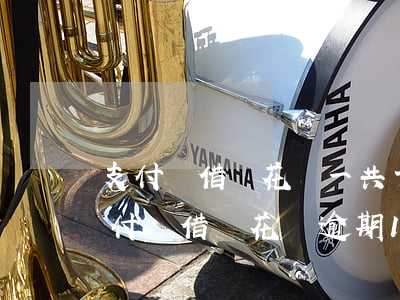 支付寶借唄花唄一共十萬(wàn)逾期 支付寶借唄花唄逾期10萬(wàn)多沒(méi)能力償還,法院起訴后