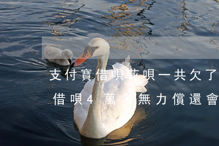 支付寶借唄花唄一共欠了4萬塊錢-欠花唄借唄4萬多無力償還會有什么后果