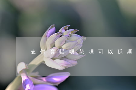 支付寶借唄花唄可以延期還款嗎-