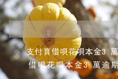 支付寶借唄花唄本金3萬逾期3年-支付寶借唄花唄本金3萬逾期3年利息多少