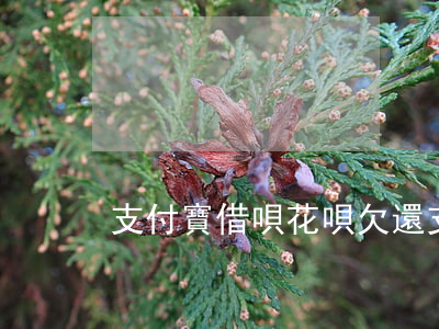 支付寶借唄花唄欠還(支付寶借唄花唄欠還)