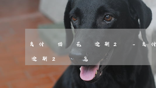 支付寶借唄花唄逾期2萬-支付寶借唄花唄逾期2萬會怎樣