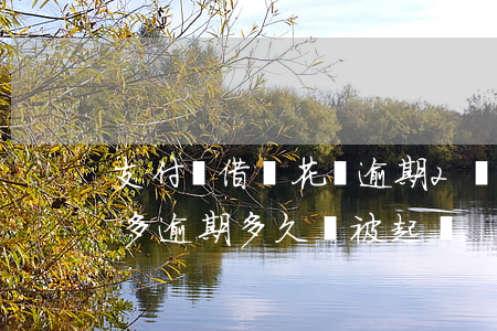 支付寶借唄花唄逾期2萬(花唄借唄欠款兩萬多逾期多久會被起訴)
