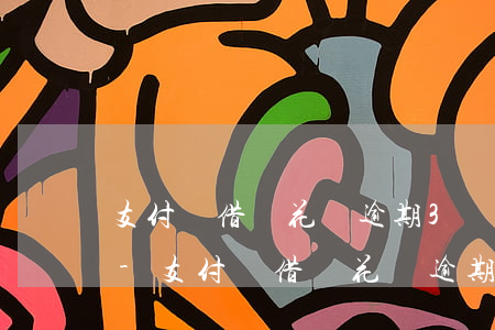 支付寶借唄花唄逾期3個月怎么辦欠3萬多-支付寶借唄花唄逾期3個月無力償還會怎么辦