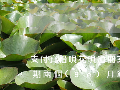 支付寶借唄花唄逾期3天(支付寶花唄借唄逾期兩個(gè)月通知我明天5點(diǎn)要還清沒有)