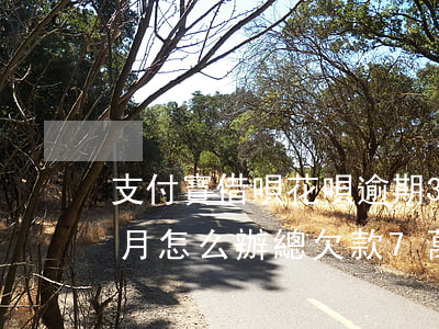 支付寶借唄花唄逾期3天(花唄借唄逾期3個月怎么辦總欠款7萬多)