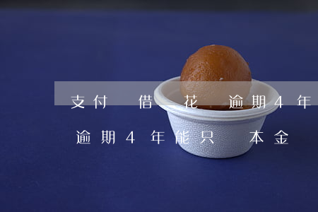 支付寶借唄花唄逾期4年-支付寶借唄花唄逾期4年能只還本金嗎