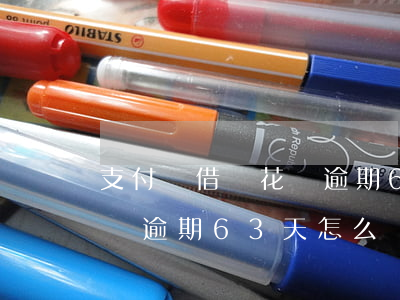 支付寶借唄花唄逾期63天-支付寶借唄花唄逾期63天怎么辦
