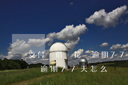支付寶借唄花唄逾期77天-支付寶借唄花唄逾期77天怎么辦
