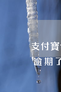 支付寶借唄花唄逾期不可分期嗎-借唄花唄逾期了還能使用支付寶付錢嗎