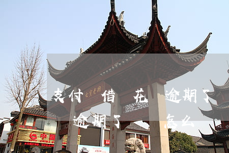 支付寶借唄花唄逾期了兩萬-支付寶借唄花唄逾期了兩萬怎么辦