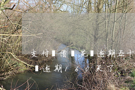 支付寶借唄花唄逾期五十多天(支付寶花唄借唄逾期160天了)