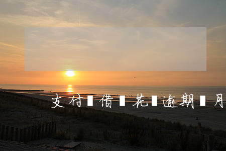 支付寶借唄花唄逾期倆月咋辦