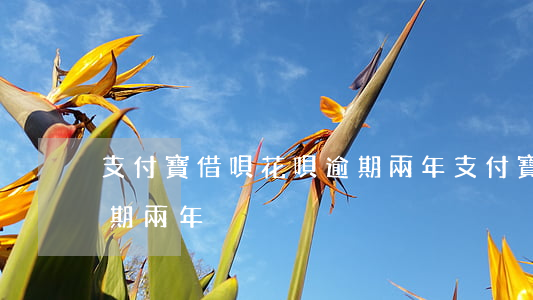 支付寶借唄花唄逾期兩年(支付寶借唄花唄逾期兩年)
