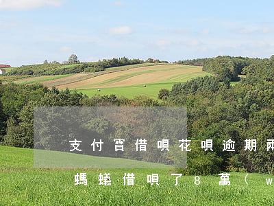 支付寶借唄花唄逾期兩萬(wàn)88天(螞蟻借唄了8萬(wàn)逾期兩年)