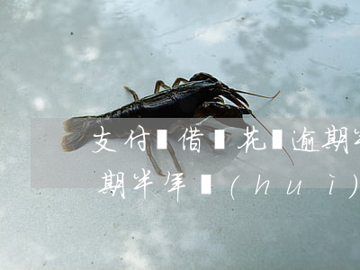 支付寶借唄花唄逾期半年(支付寶借唄花唄逾期半年會(huì)不會(huì)被起訴)