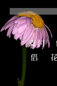 支付寶借唄花唄逾期協(xié)商(支付寶借唄花唄逾期協(xié)商)