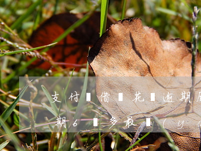 支付寶借唄花唄逾期后果(支付寶花唄借唄逾期6萬多最嚴(yán)重處理結(jié)果?)