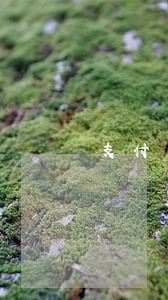支付寶借唄花唄逾期后果(螞蟻借唄花唄逾期)