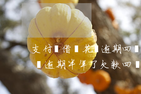 支付寶借唄花唄逾期四萬多一年了-借唄花唄逾期半年了,欠款四萬多會起訴我嗎